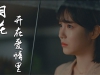 《泪花开在爱情里》赵洋伤感情歌，两颗心却不能在一起。