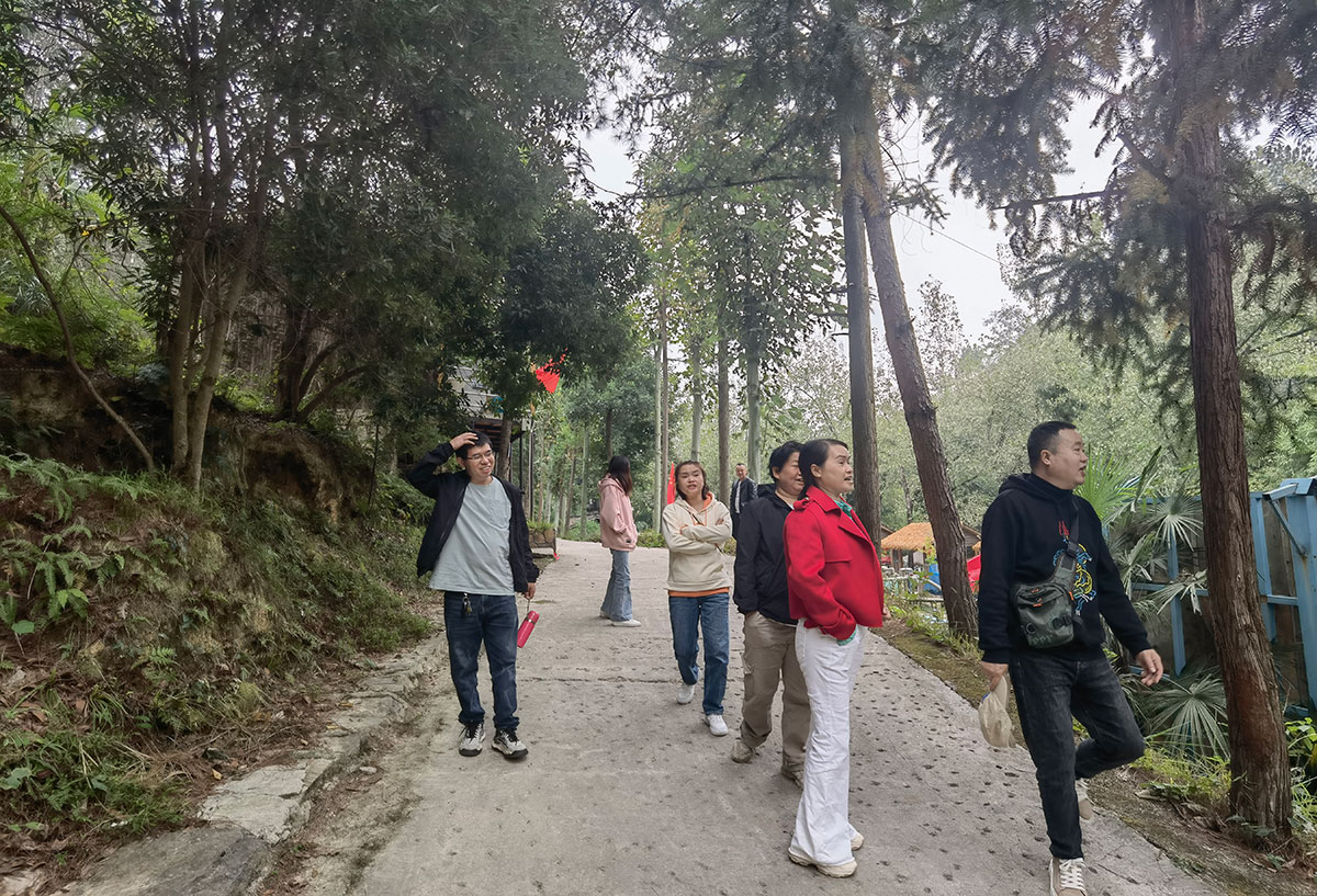 20241006 国庆假期相约在黔陶 沐浴阳光 享受野生菌的美味！